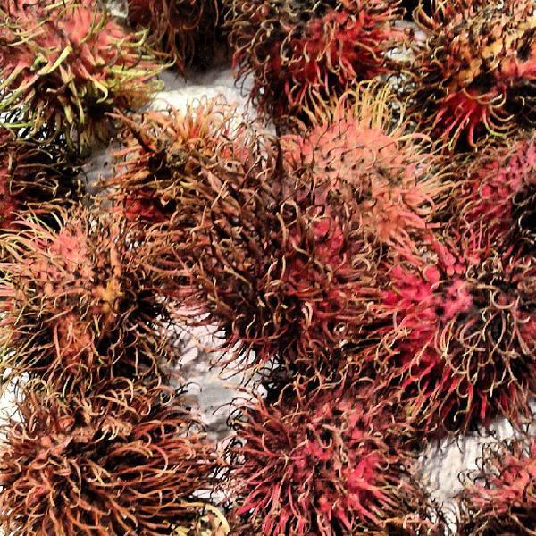 Photo taken at Ica Maxi Birsta by Fredrik T. on 7/15/2013