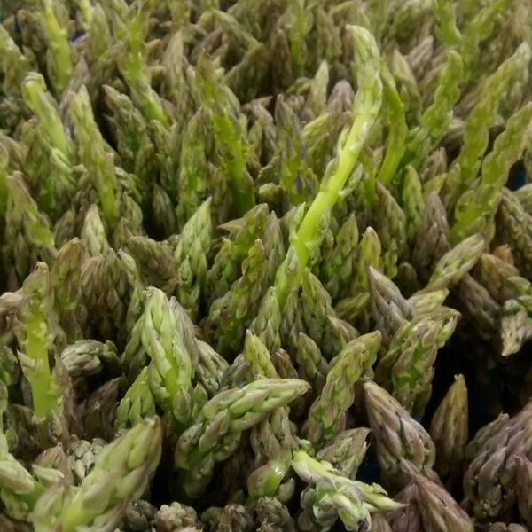 Photo taken at Trader Joe's by Chris R. on 3/7/2014-美国华盛顿州布里恩第一大道南15868 Photo taken at Trader Joe's by Chris R. on 3/7/2014