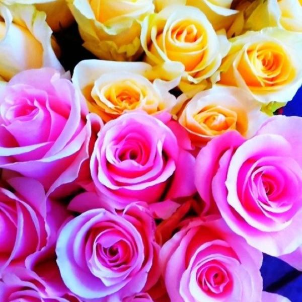 Photo taken at Whole Foods Market by Evangeline B. on 7/7/2012-加利福尼亚州伯克利阿什比大路电报大道3000号 Photo taken at Whole Foods Market by Evangeline B. on 7/7/2012