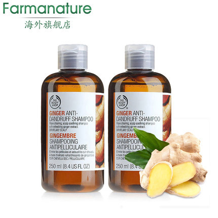 The Body Shop/美体小铺 生姜洗发水缓解脱发控油去屑250ml*2