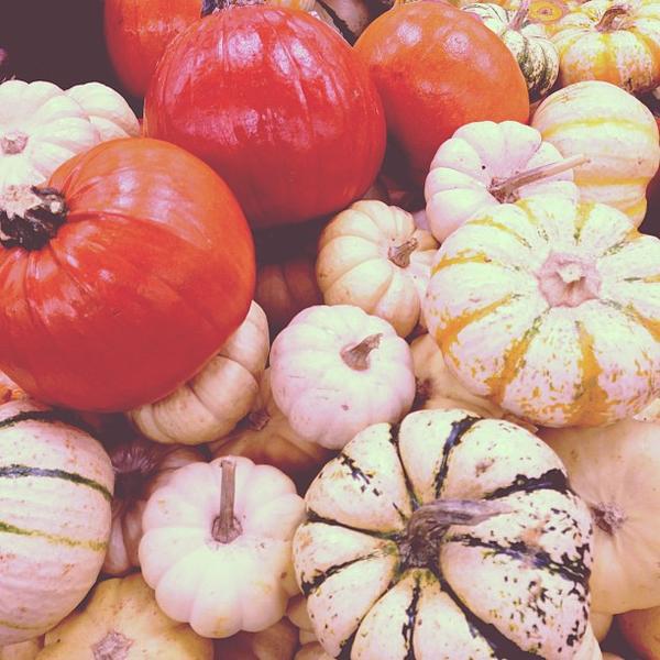 Photo taken at Trader Joe's by Kevin N. on 10/13/2012