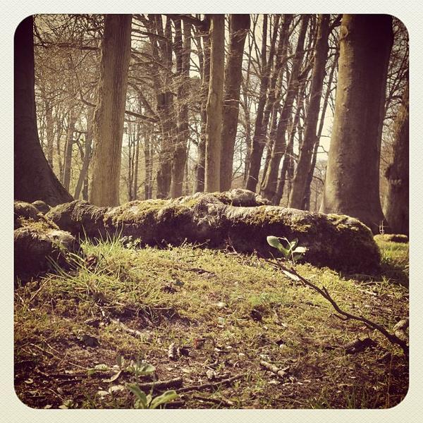 Photo taken at Beeckestijn by Martin N. on 5/1/2013-荷兰北荷兰省费尔森瑞杰克斯路134号 Photo taken at Beeckestijn by Martin N. on 5/1/2013