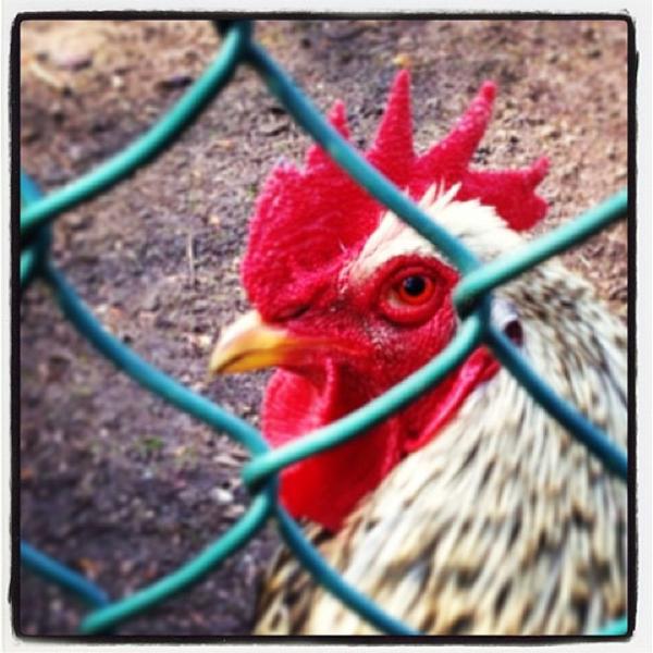 Photo taken at Beeckestijn by Martin N. on 5/1/2013