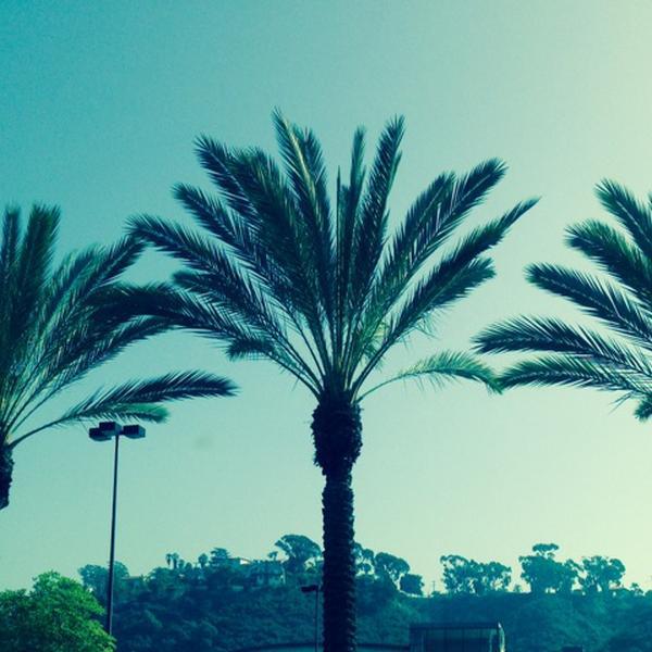 Photo taken at Trader Joe's by Shona F. on 10/25/2013