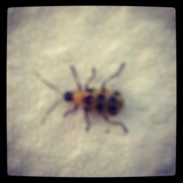 Photo taken at Trader Joe's by Pablo C. on 9/14/2012