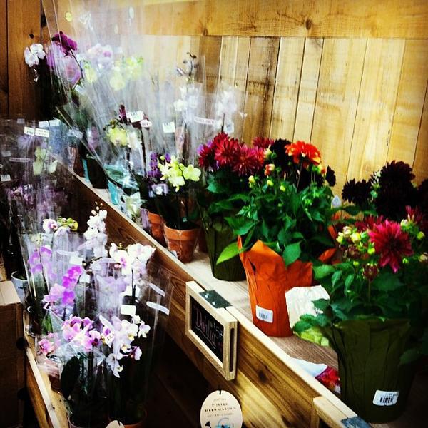 Photo taken at Trader Joe's by Terry -内华达州拉斯维加斯华盛顿大道7575号 Photo taken at Trader Joe's by Terry