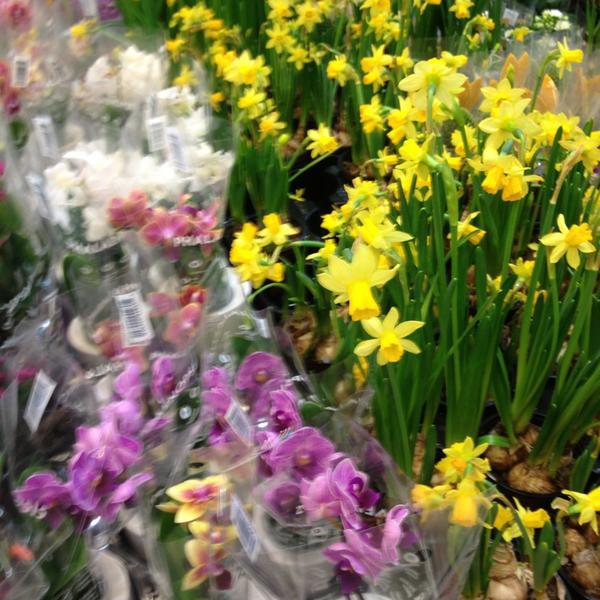 Photo taken at Kaufland by Aga on 3/25/2013-德国柏林喷泉大道105 Photo taken at Kaufland by Aga on 3/25/2013