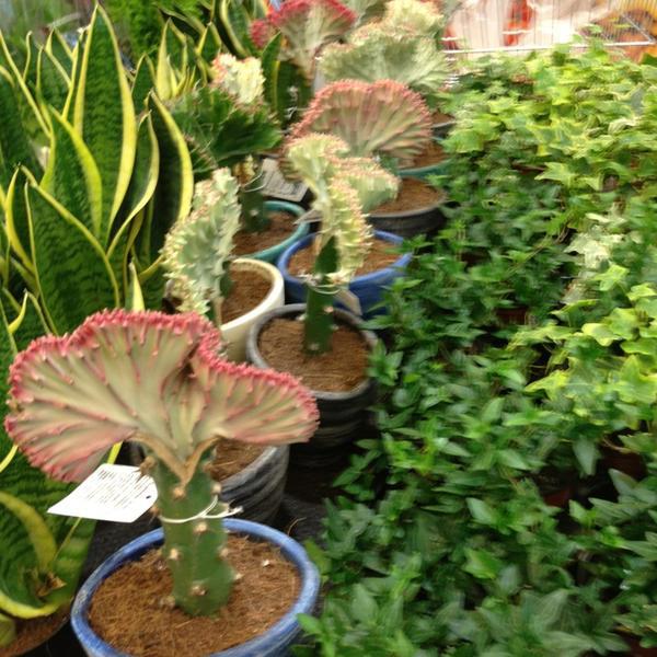 Photo taken at Kaufland by Aga on 3/25/2013-德国柏林喷泉大道105 Photo taken at Kaufland by Aga on 3/25/2013