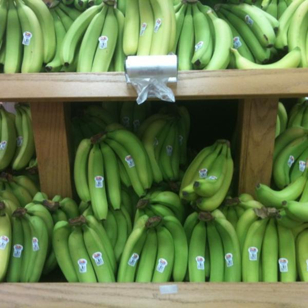 Photo taken at Trader Joe's by Esteban G. on 4/8/2012-伊利诺州芝加哥市安大略湖路44号 Photo taken at Trader Joe's by Esteban G. on 4/8/2012