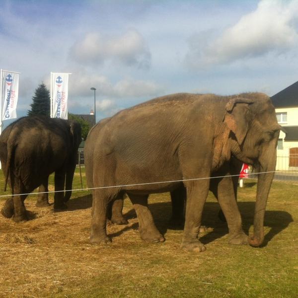 Photo taken at Carrefour by Roman M. on 7/9/2014