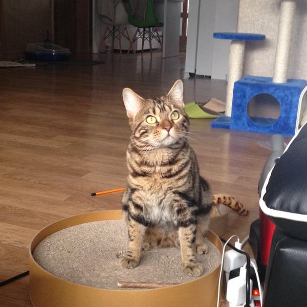 Photo taken at 롯데마트 (LOTTE Mart) by Saerom Y. on 2/17/2014