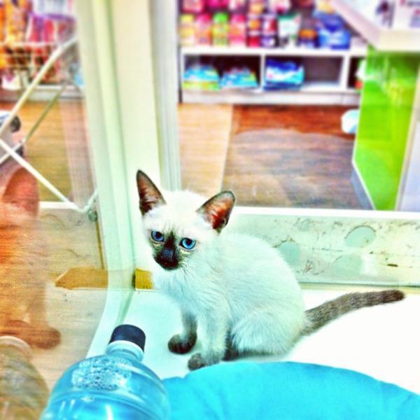 Photo taken at 홈플러스 (Home plus) by Kwan-Woo L. on 4/20/2013-京畿道城南盆唐151 Photo taken at 홈플러스 (Home plus) by Kwan-Woo L. on 4/20/2013