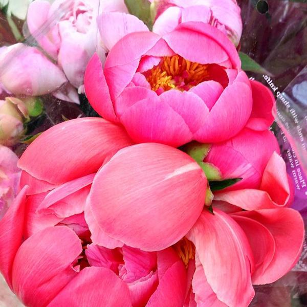 Photo taken at Trader Joe's by Angela on 5/27/2013