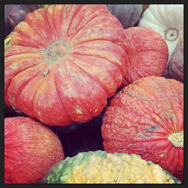 Photo taken at Trader Joe's by Melanie N. on 10/11/2013