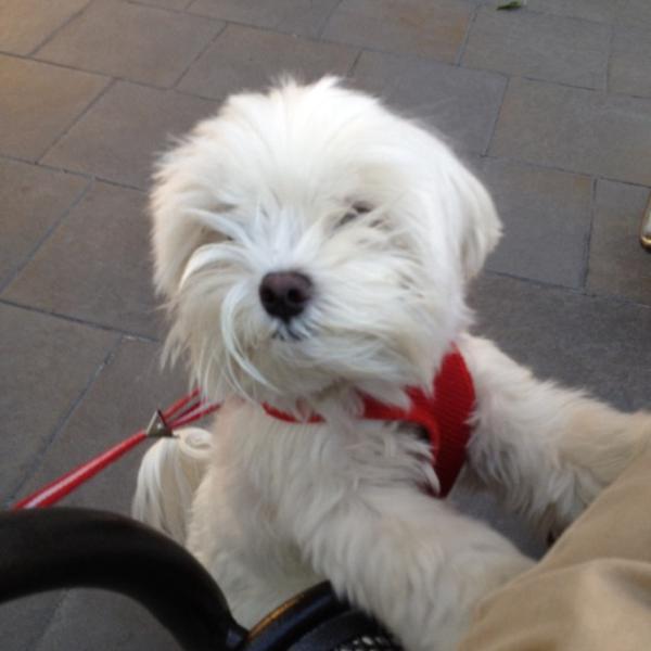 Photo taken at Trader Joe's by Michael S. on 12/8/2011