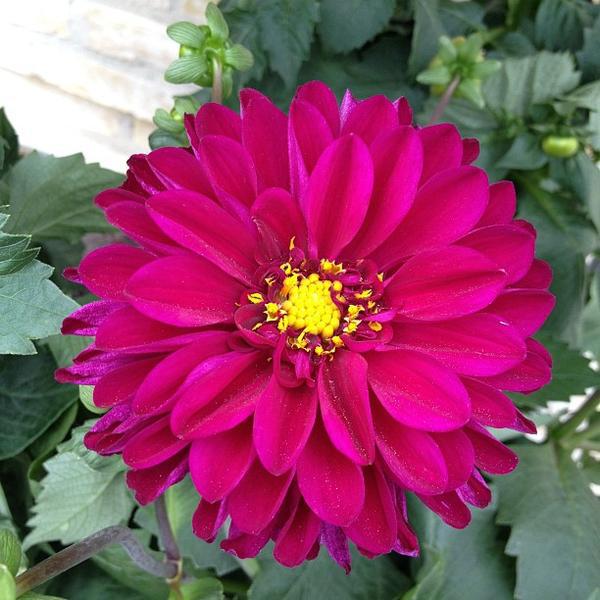 Photo taken at Døgn Netto by AKARAT S. on 6/10/2012