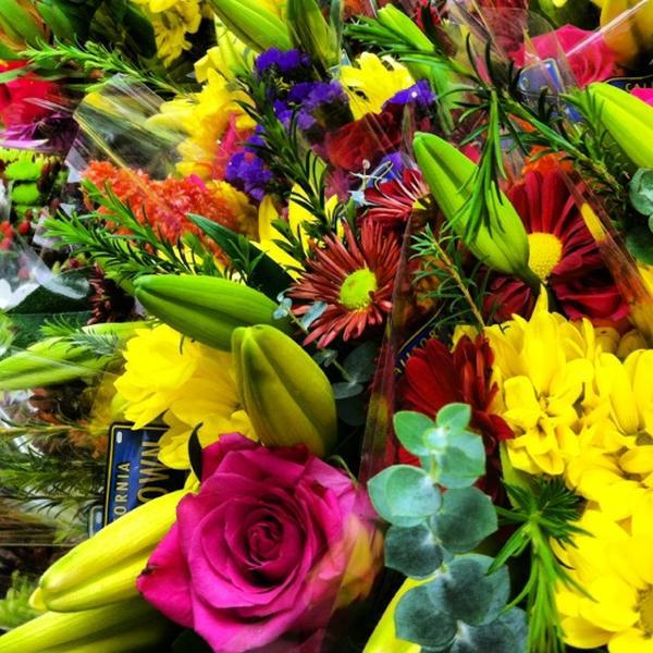 Photo taken at Trader Joe's by Michelle M. on 11/11/2012