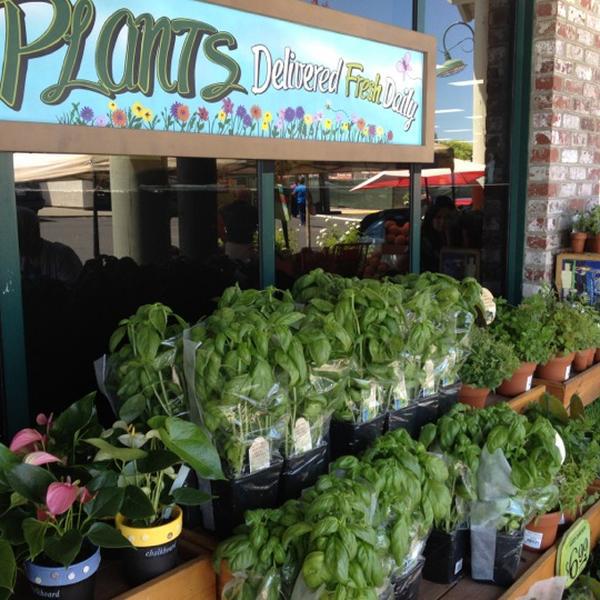 Photo taken at Trader Joe's by Shane B. on 7/28/2012