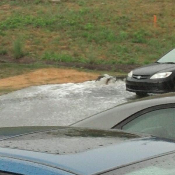 Photo taken at Trader Joe's by Ian W. on 7/3/2012-美国宾夕法尼亚州上圣克莱尔华盛顿路1630 Photo taken at Trader Joe's by Ian W. on 7/3/2012