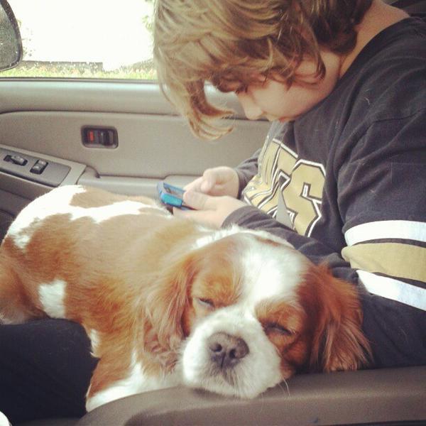 Photo taken at Whole Foods Market by Bob Uptown Ruler M. on 12/7/2012-洛杉矶新奥尔良杂志街(阿拉贝拉与约瑟夫街之间)5600 Photo taken at Whole Foods Market by Bob Uptown Ruler M. on 12/7/2012