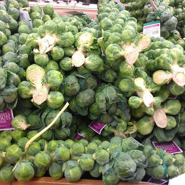 Photo taken at Trader Joe's by JoAnn S. on 11/26/2013-康涅狄格州奥林奇波士顿邮报路560 Photo taken at Trader Joe's by JoAnn S. on 11/26/2013