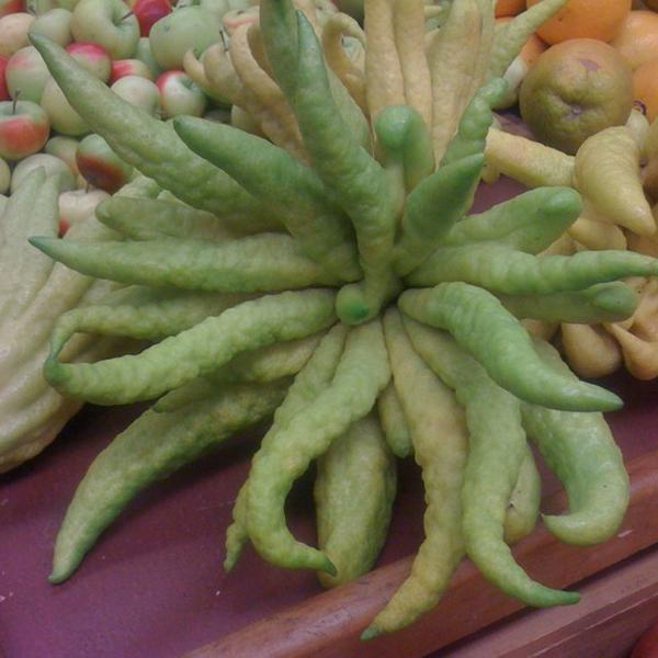 Photo taken at Whole Foods Market by Thomas B. on 11/19/2011-加尼福尼亚蒙特雷德尔蒙特康涅狄格800(在穆拉斯大道) Photo taken at Whole Foods Market by Thomas B. on 11/19/2011