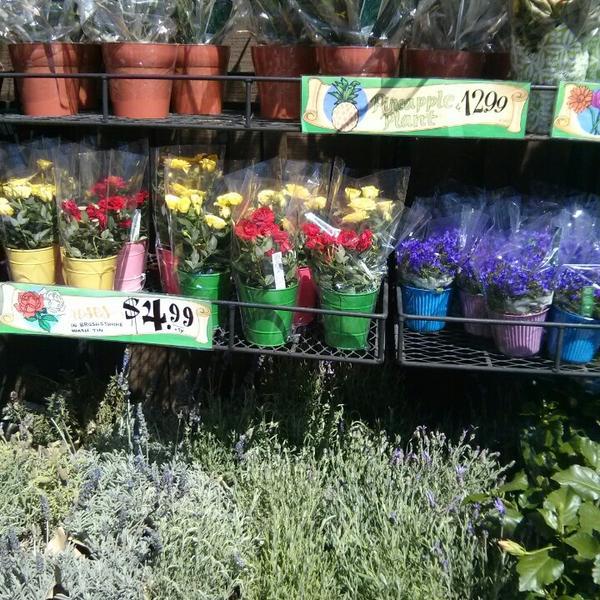 Photo taken at Trader Joe's by My B. on 8/31/2013