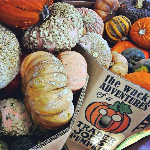 Photo taken at Trader Joe's by Andrew R. on 9/26/2012