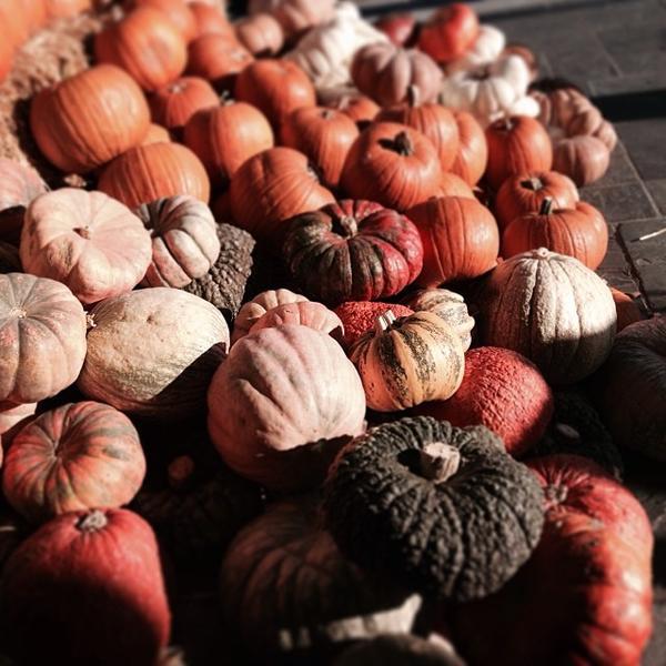 Photo taken at Trader Joe's by Beth S. on 10/4/2013