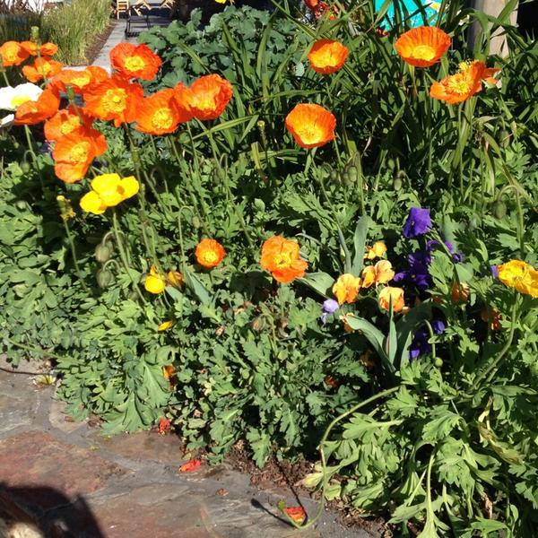 Photo taken at Trader Joe's by Elena S. on 3/11/2013