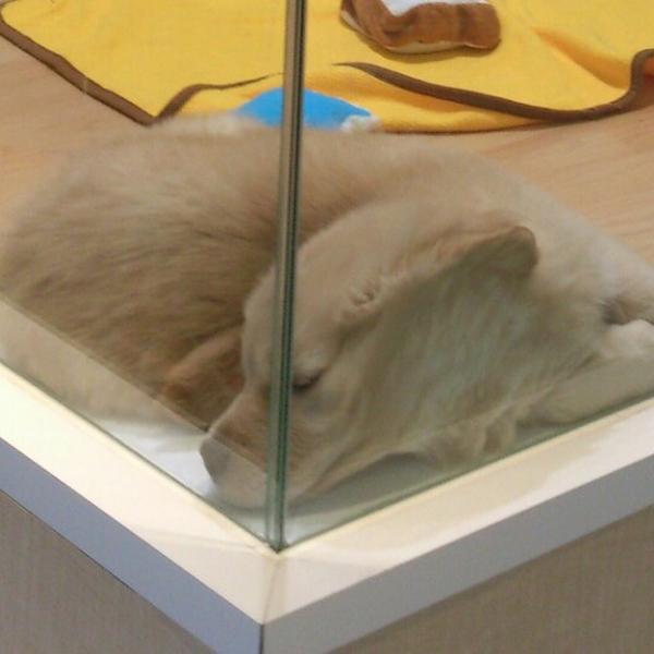 Photo taken at イオン 栃木店 by unyom ヽ. on 12/15/2012