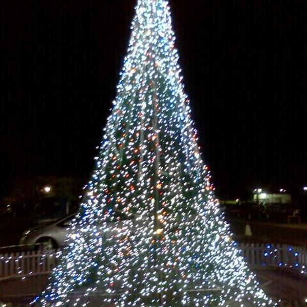 Photo taken at イオン 栃木店 by osa g. on 12/26/2011