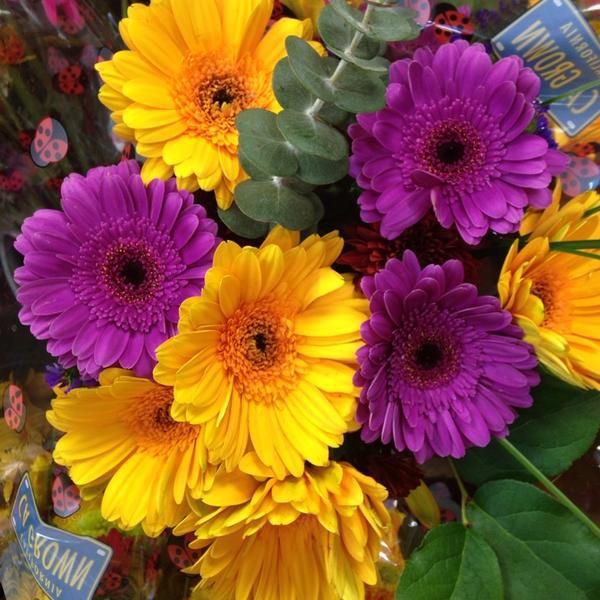 Photo taken at Trader Joe's by Carri on 12/22/2013