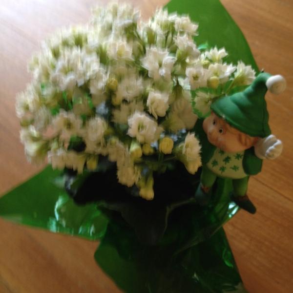 Photo taken at Trader Joe's by Deborah on 3/15/2014