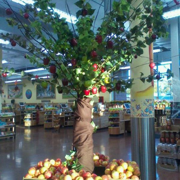 Photo taken at Trader Joe's by Amy J. on 10/16/2011