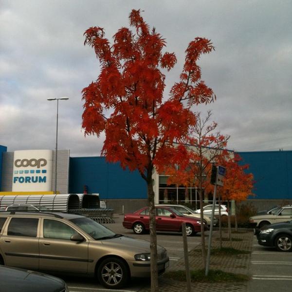 Photo taken at Coop Forum by Natasha A. on 10/11/2012