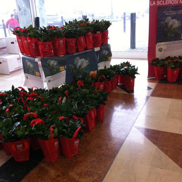 Photo taken at Centro Commerciale Bennet by Luka C. on 3/10/2013