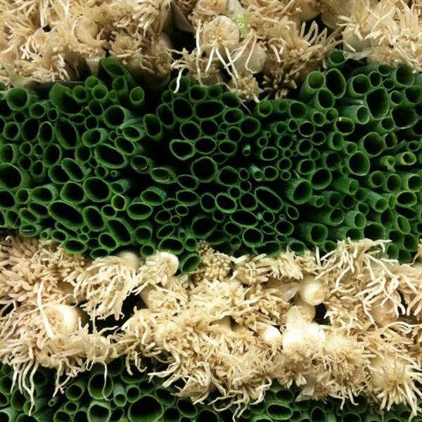 Photo taken at Whole Foods Market by Autumn T. on 9/27/2011