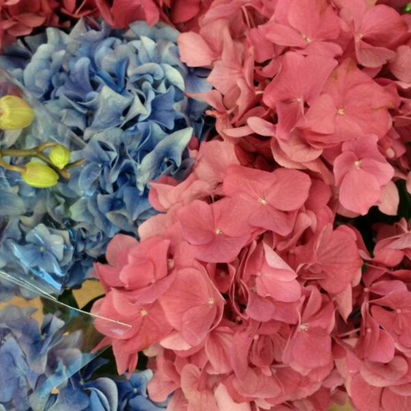 Photo taken at Trader Joe's by Marc V. on 7/7/2012