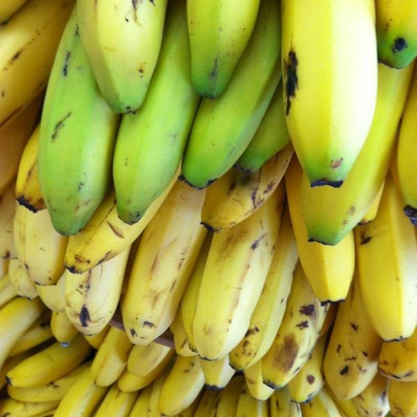 Photo taken at Trader Joe's by Marc V. on 6/2/2012