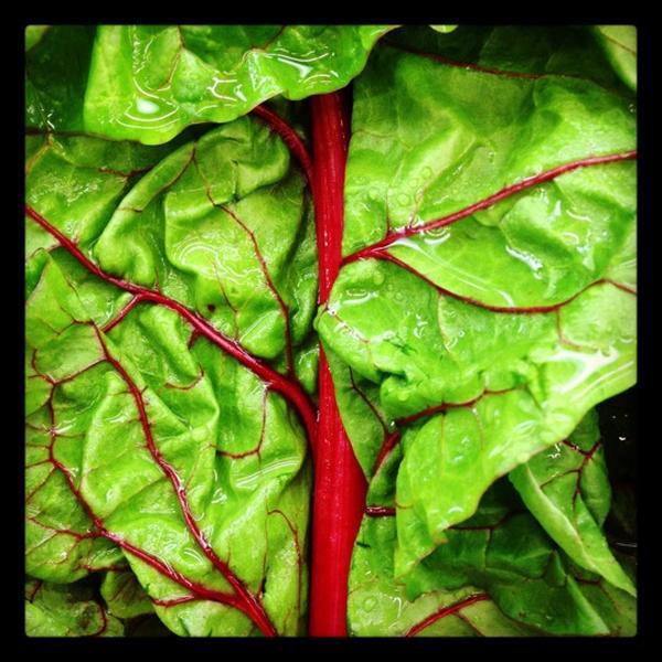 Photo taken at Whole Foods Market by Gary M. on 10/15/2012