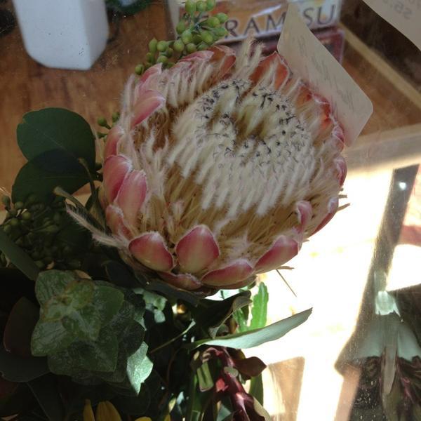 Photo taken at Trader Joe's by K. G. on 11/27/2013