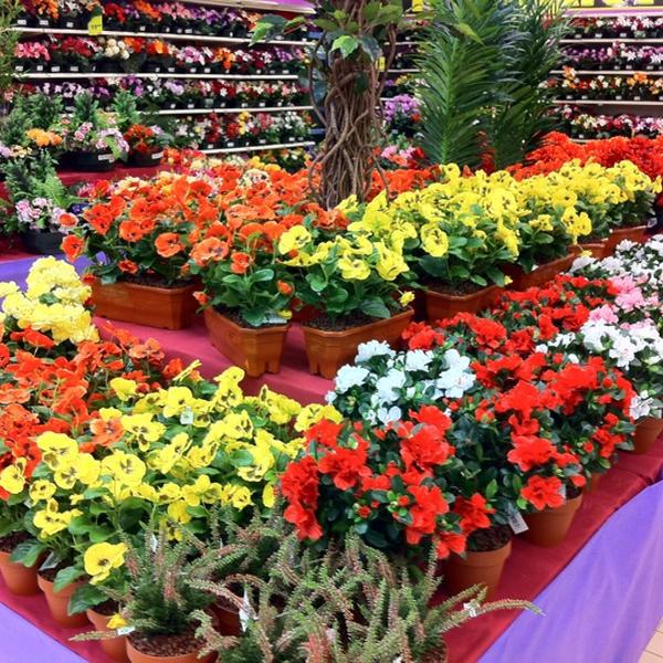 Photo taken at Auchan by Aurel V. on 10/20/2011