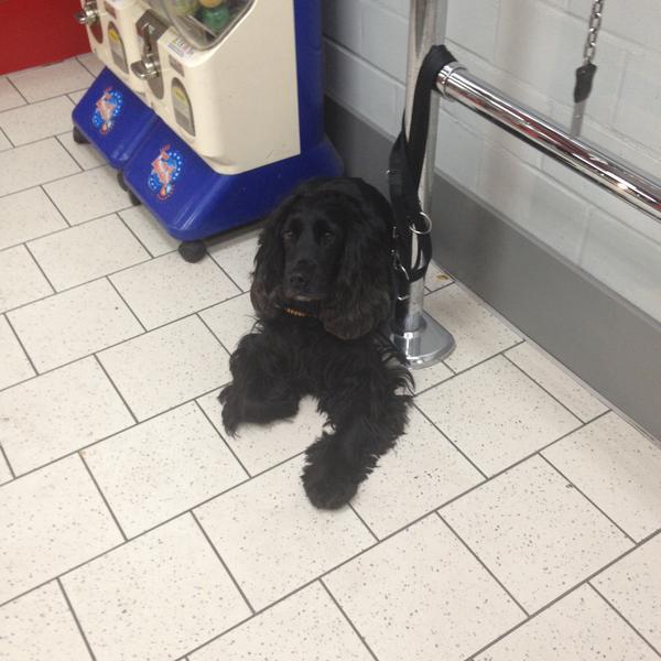 Photo taken at Kaufland by Aga on 4/12/2013-德国柏林王宫大街85 Photo taken at Kaufland by Aga on 4/12/2013