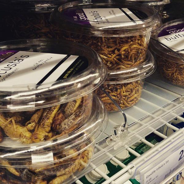 Photo taken at Albert Heijn XL by Hayo B. on 4/11/2015