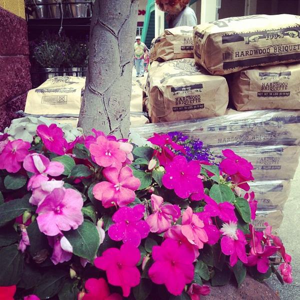 Photo taken at Trader Joe's by Erica C. on 6/10/2013