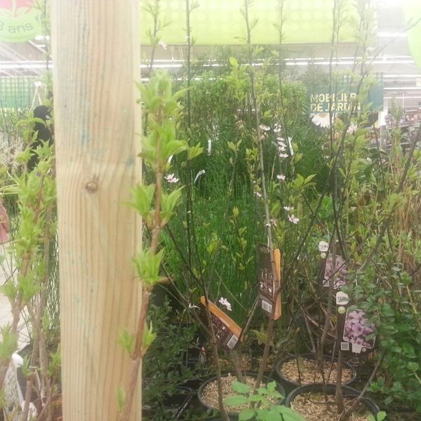 Photo taken at Carrefour Trifontaine by Longboard34 D. on 3/20/2013-法国朗格多克鲁西永圣克莱芒德里维埃冈义路 Photo taken at Carrefour Trifontaine by Longboard34 D. on 3/20/2013