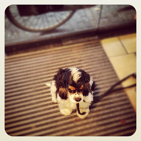 Photo taken at HEMA by Ria B. on 11/23/2012-荷兰阿姆斯特丹林尼厄斯街245号 Photo taken at HEMA by Ria B. on 11/23/2012