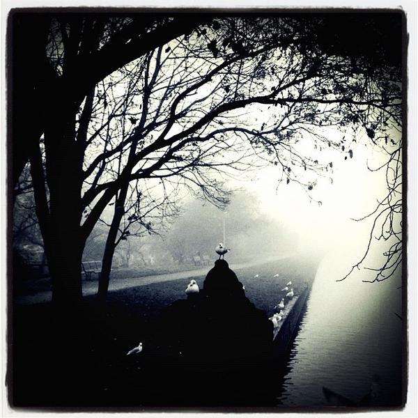 Photo taken at HEMA by Ria B. on 11/21/2011-荷兰阿姆斯特丹林尼厄斯街245号 Photo taken at HEMA by Ria B. on 11/21/2011