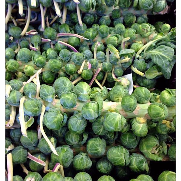 Photo taken at Whole Foods Market by i -加利福尼亚州托伦斯太平洋海岸高速公路(克伦肖大道)2655 Photo taken at Whole Foods Market by i